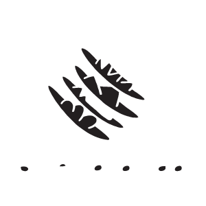 Buena-Onda-Logo